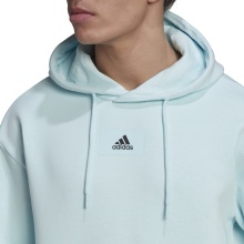 adidas Hoodie Essentials Feelvivid Cotton Light Blue Men